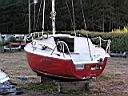 Carnage et Antifouling (2)